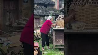 PRANK NENEK AYAM KECIL JADI SLIME TELUR NYA MENETAS ⁉️😱shorts funny dubbing [upl. by Sheena]