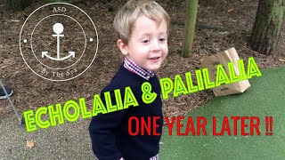 Echolalia amp Palilalia  What does Echolalia sound like  ONE YEAR LATER  ASD  Child Speech Delay [upl. by Nels]