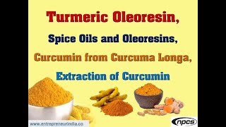 Turmeric Oleoresin Spice Oils  Oleoresins  Curcumin from Curcuma Longa  Extraction of Curcumin [upl. by Lockhart]