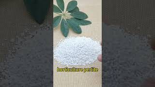 White Expanded Horticultural Perlite for Commercial Growers perlite gardening [upl. by Aufmann397]