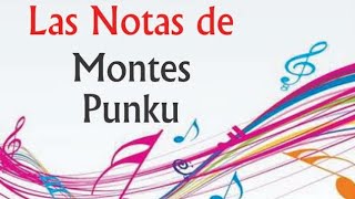 Montes punku en guitarra [upl. by Quackenbush906]