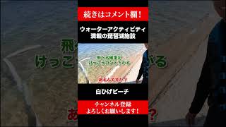 琵琶湖に来たら絶対これやって！ 関西エンタメウォーク 白ひげビーチ フライボード [upl. by Basset]