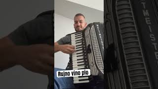 Ti si me cekala  a ja sum negde rujno vino pio   accordion forspil akordeon accordion music [upl. by Roxie]