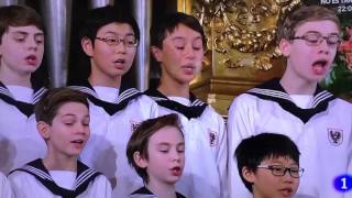 Concierto Año Nuevo 2016 con los niños cantores de Viena [upl. by Akcirehs609]