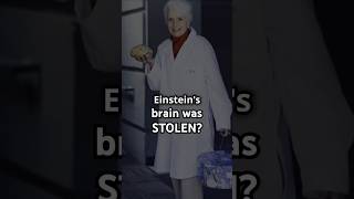 What Happened to Einsteins Brain The Surprising Answer [upl. by Albina166]