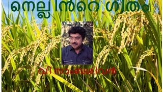 NELLINTE GEETHAM  VSAMBASIVAN [upl. by Alegnave]