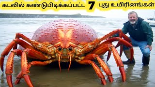 கடல் உயிரினங்கள்  Strange Deep Ocean Creatures Found  Tamil Info Share [upl. by Ilyse]