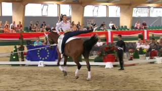 FEI European Vaulting Championships 2013  Male Senior Compulsory 2nd Place  Stefan Csandl [upl. by Eireva197]