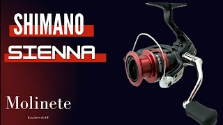 Review  Molinete Shimano  Sienna 1000 [upl. by Razaele312]