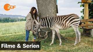 Frühling – Ein Zebra im Gepäck  Filme amp Serien  ZDF [upl. by Yeliab504]