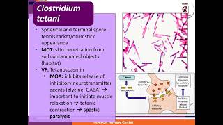 3 Gram Positive Bacilli Manor Review Center [upl. by Margaretha]