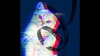 CatVideoFest 2019  Official Trailer  Meow  HD [upl. by Aibun]