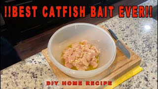 Best Catfish Bait EVER [upl. by Aletsirc]