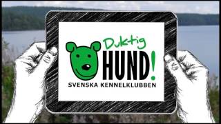 Duktig hund [upl. by Gnap]