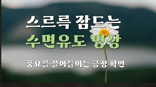 스르륵 잠드는 수면유도 풍요를 끌어들이는 긍정확언  Positive affirmations attracting sleepinducing meditation abundance [upl. by Gladdy507]