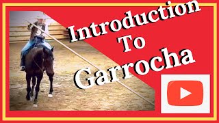 Garrocha Pole Skills For You and Your HorseHave Fun Build ConfidenceArt of The Horseman [upl. by Daas]