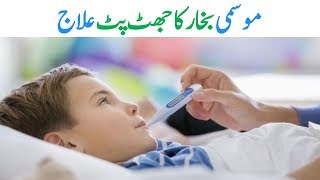 Mausami Bukhar Ka Ilaj  Viral Fever Treatment in Urdu [upl. by Rise]