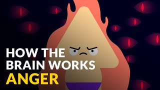 How The Brain Works With Anger [upl. by Jayne]