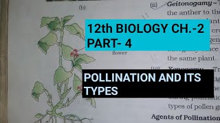 Class 12 biology chapter2 Part4 pollination and its typesStudy with FARRU [upl. by Nilsoj]