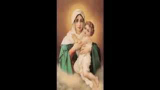 Cancion a la Virgen de Schoenstatt  Damian Paz [upl. by Ynnoj822]