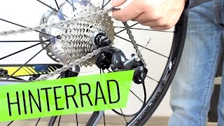 Fahrrad Hinterrad ausbauen Scheibenbremse  Fehler vermeiden  Fahrradorg [upl. by Syck]