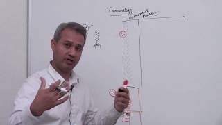 Innate and Acquired Immunology Lecture 1 Part 1 [upl. by Hassin]