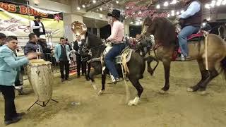 Feria del caballo español 2019 [upl. by Naldo405]