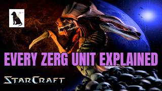 StarCraft Lore Every Zerg Unit Explained [upl. by Aenotna]