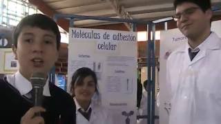 Feria científica IRM 2016 Moléculas de adhesión celular [upl. by Yrolam]