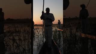 “Glide through the heart of the Okavango Delta on a mokoro with Close encounter adventures [upl. by Klos]