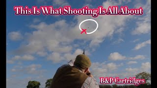 This Is What Wing Shooting Is All About  Partridge amp Pheasant Shooting With A 20 Gauge [upl. by Semyaj]