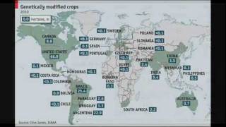 GMO On The Rise [upl. by Sihunn]