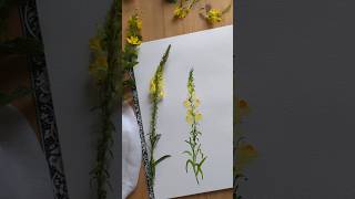 Watercolor Drawing For Beginners । art painting shots watercolorpainting [upl. by Utter]