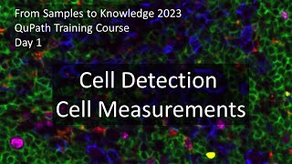 Cell Detection and Cell Measurements [upl. by Omixam]