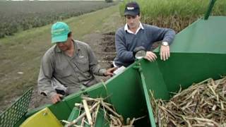 Sembradora de Caña de Azucar Neozaf 6000  Puesta a Punto Sugarcane Planter Tuningavi [upl. by Catie]