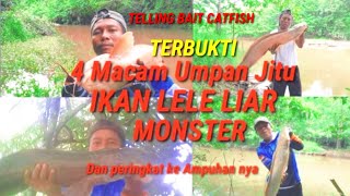 4 Macam Umpan Jitu IKAN Lele Liar  Umpan jitu ikan Lele Liar di sungai [upl. by Saylor]