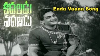 Kadaladu Vadaladu Telugu Movie Songs  Enda Vaana  NTR  Jayalalitha [upl. by Iman]