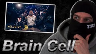 LTH C1  Brain Cell Music Video  Pressplay REACTION [upl. by Gnohc483]