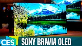 Sony Bravia OLED con Android TV primeras impresiones CES17 [upl. by Casey]