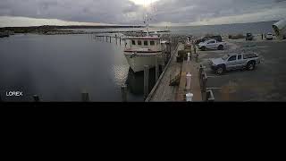 Menemsha Texaco Live Stream [upl. by Rebe]