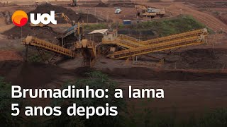 Brumadinho vídeos mostram como está área atingida por vazamento da barragem da Vale após 5 anos [upl. by Anidam]