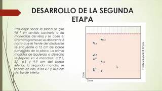 Video Cromatografia Fina Trab Col 1 [upl. by Rockie435]