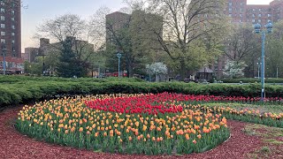 【4K】 Walking Tour Parkchester Metropolitan Oval Park  Bronx New York [upl. by Briggs738]