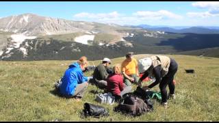 The American Pika A climate indicator species [upl. by Kcerb]