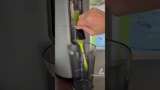 Grüner Smoothie im Hurom H400 SlowJuicer [upl. by Sheffield]