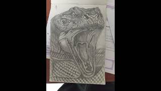 Snake drawing realistic pencil drawing [upl. by Nywloc]