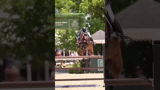 Eskadron czy kentucky🙈🤍🥸💞kentucky equestrian horse eskadron [upl. by Ailero]