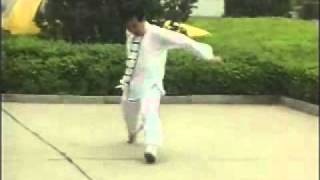 Xing Yi footwork [upl. by Halimak]