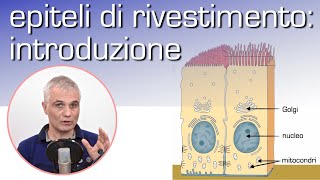 Epiteli di rivestimento introduzione [upl. by Teirtza]