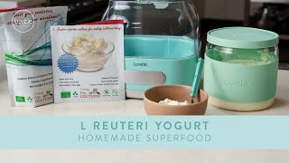 L Reuteri Yogurt HOMEMADE SUPERFOOD [upl. by Aspia947]